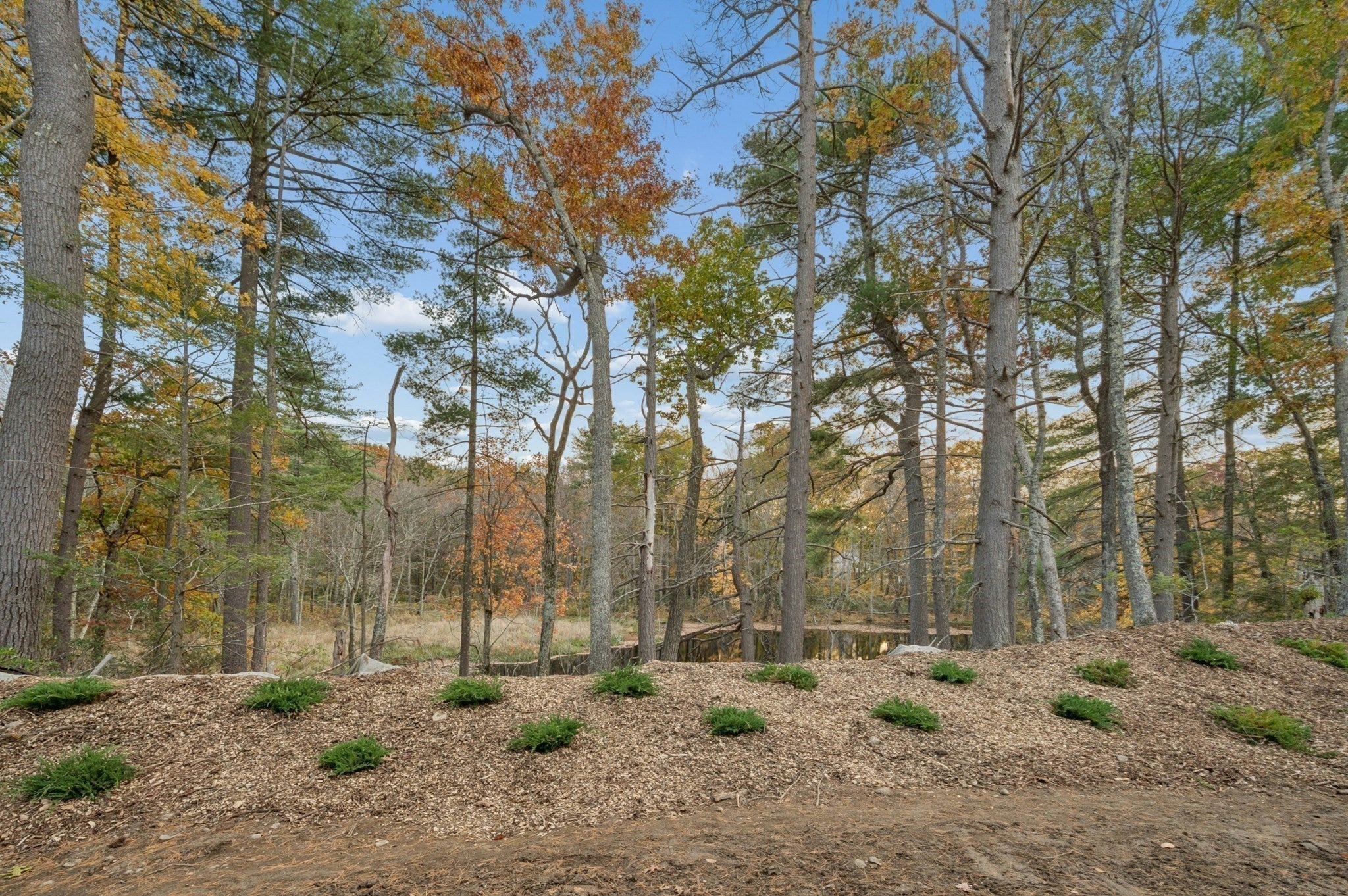 35 Martin Rd, Douglas, MA Photo #32