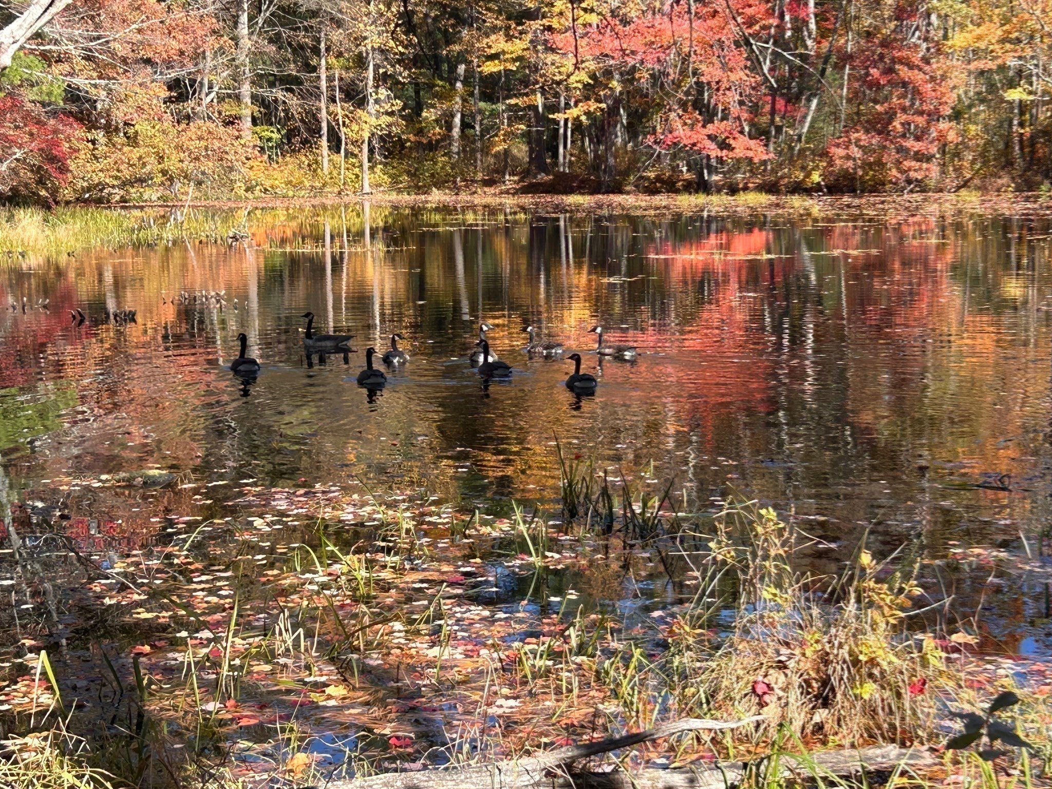 35 Martin Rd, Douglas, MA Photo #36