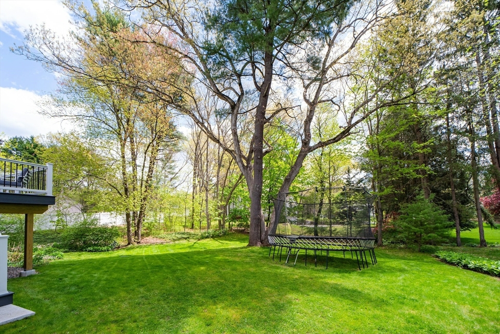 18 Emerson Rd, Medfield, MA Photo #30