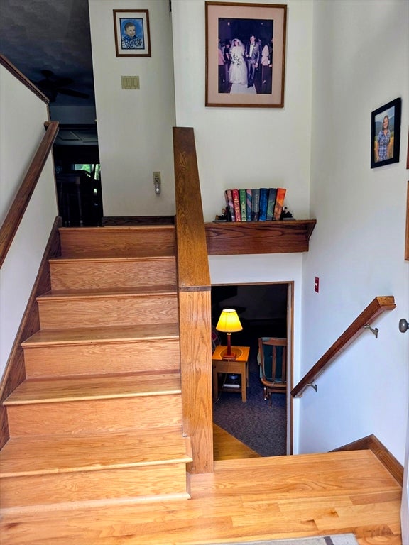 388 Sherbert Rd