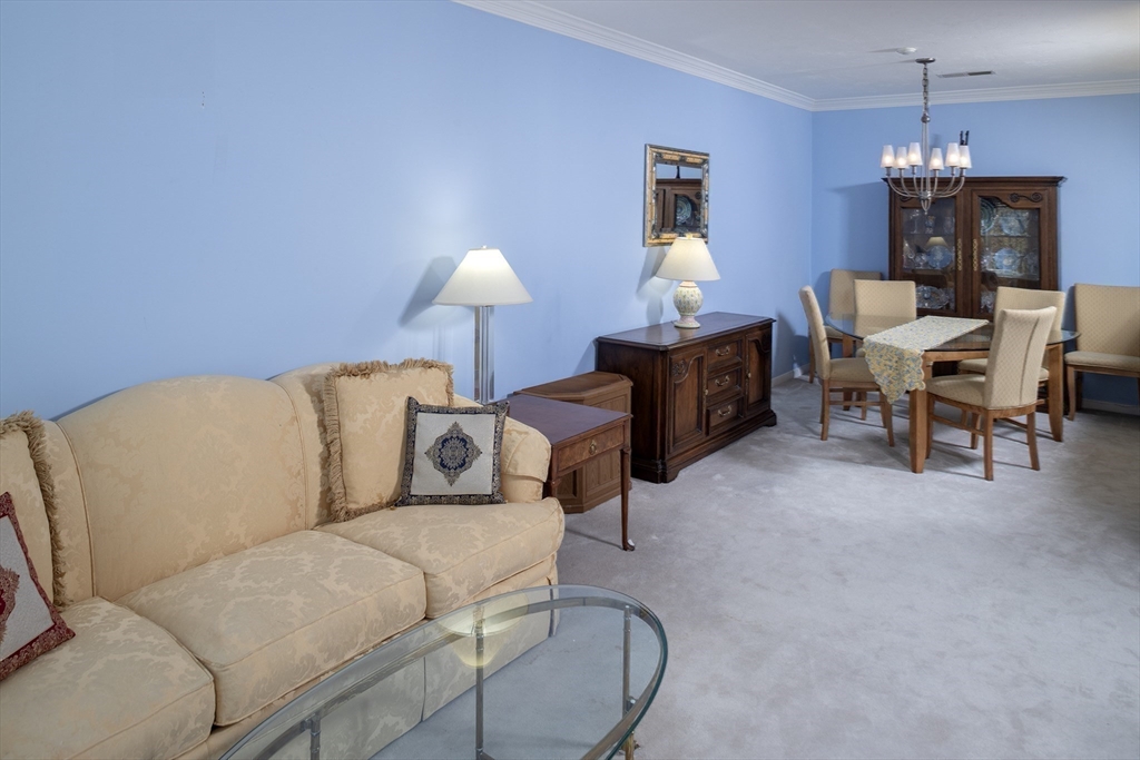 317 Tilden Commons Ln 317