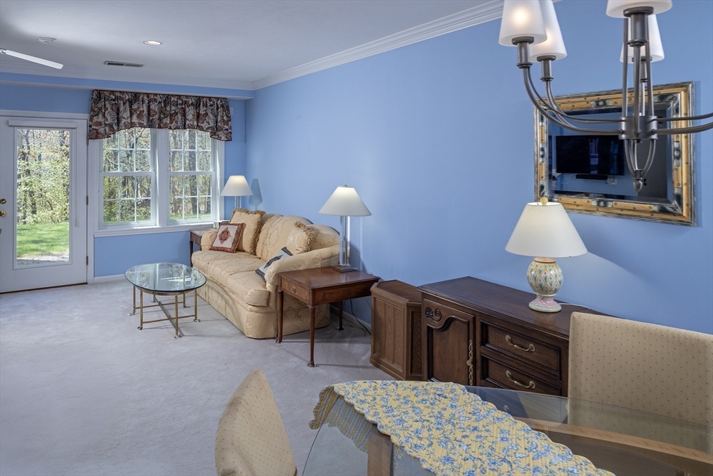 317 Tilden Commons Ln 317
