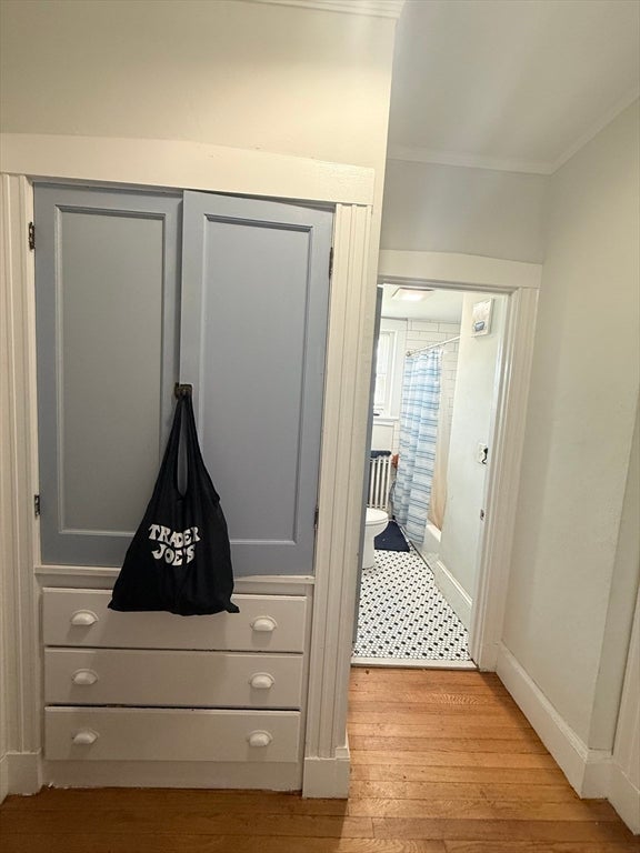 840 Massachusetts Ave #25, Arlington, MA, 840 Massachusetts Ave #25, Arlington, MA Photo #15