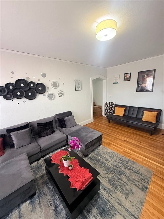 840 Massachusetts Ave #25, Arlington, MA, 840 Massachusetts Ave #25, Arlington, MA Photo #4