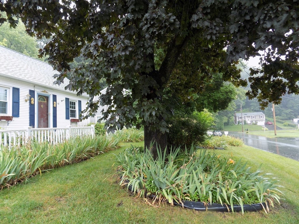 88 Knollwood Dr