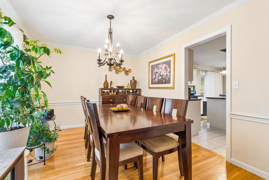 45 Braeburn Rd