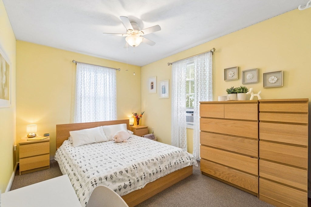 45 Braeburn Rd, Boston, MA Photo #25