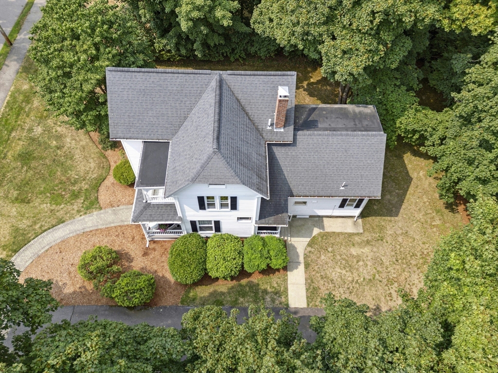 3 Bassett St