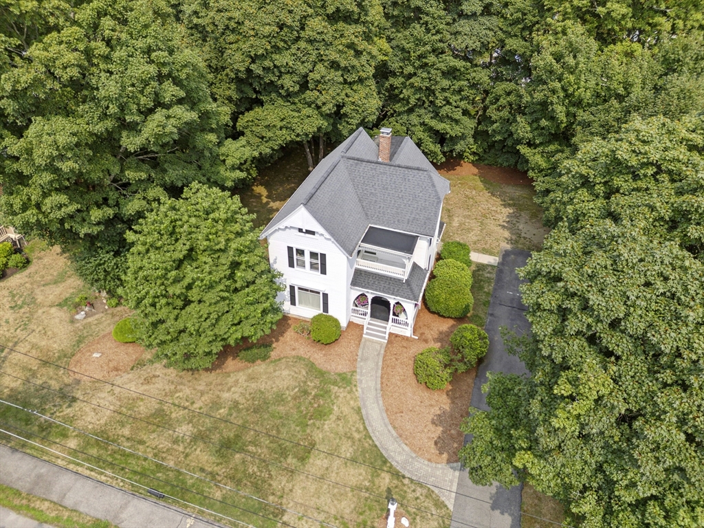 3 Bassett St