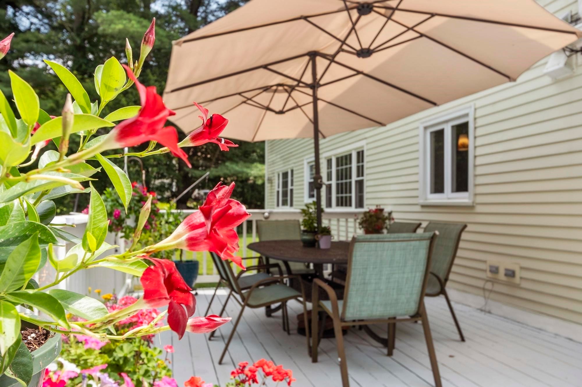 18 Farrwood Dr, Andover, MA Photo #8