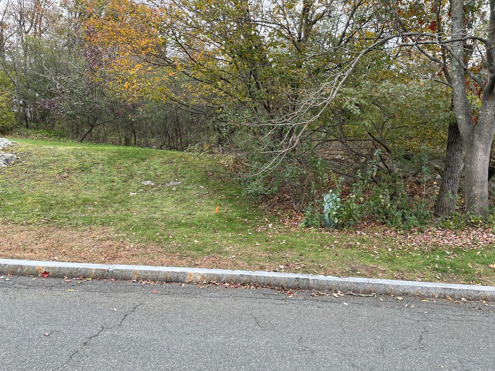 12B Cheever Avenue