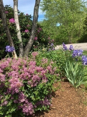 84G Crystal Brook Way #G, Marlborough, MA, 84G Crystal Brook Way #G, Marlborough, MA Photo #18