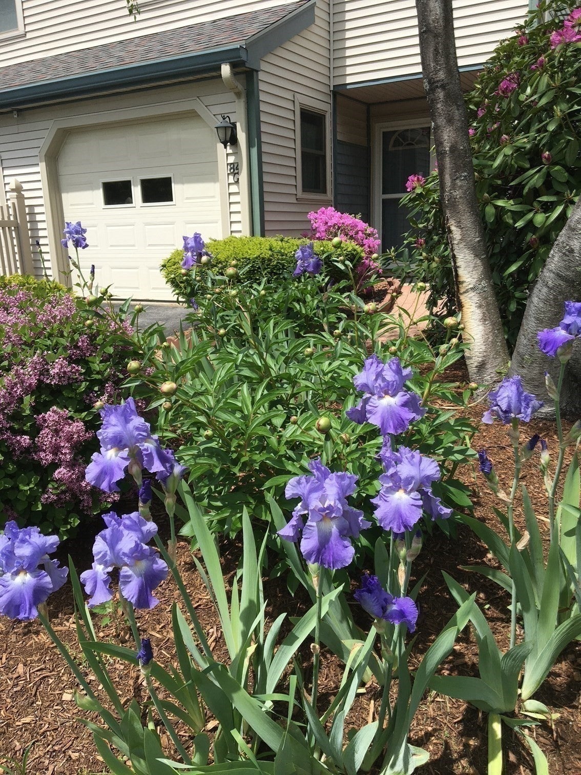 84G Crystal Brook Way #G, Marlborough, MA, 84G Crystal Brook Way #G, Marlborough, MA Photo #15
