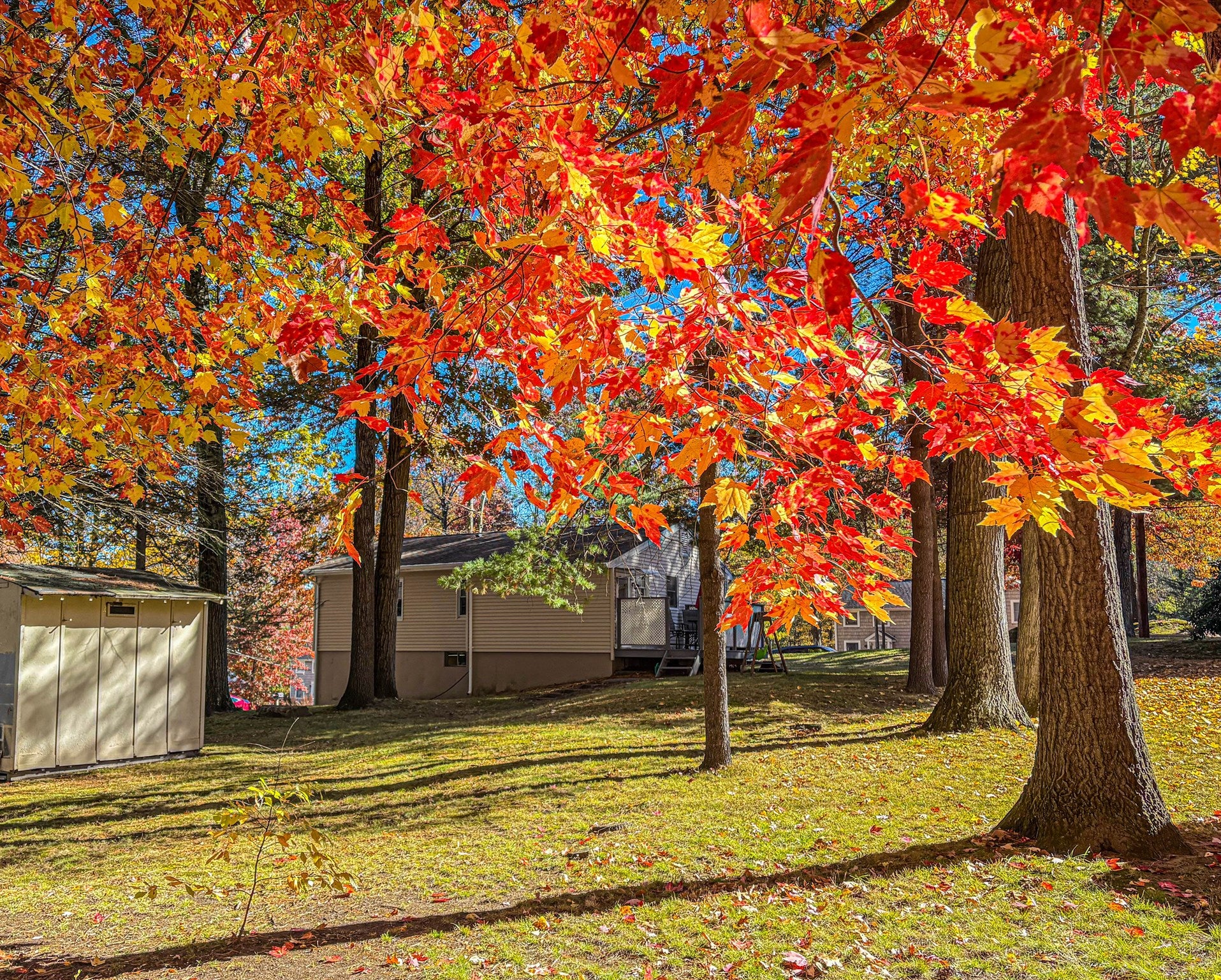 67 Laurel St