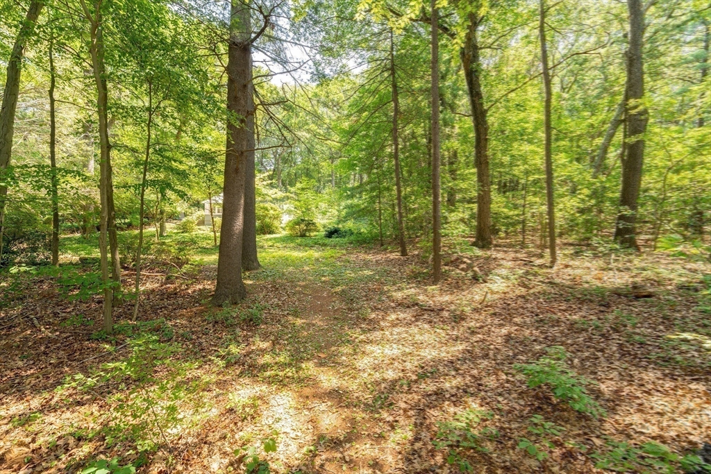 41 Lakeshore Rd