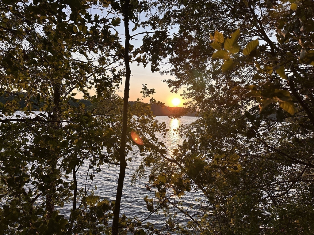 41 Lakeshore Rd