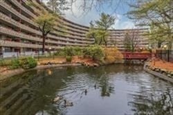 200 Swanton Street #T35, Winchester, MA, 200 Swanton Street #T35, Winchester, MA Photo #2