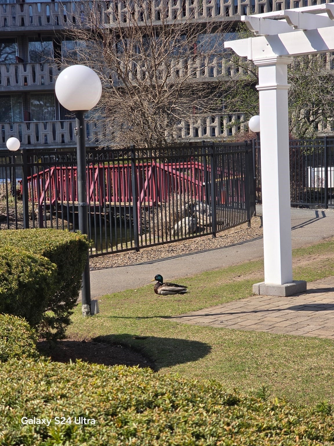 200 Swanton Street #T35, Winchester, MA, 200 Swanton Street #T35, Winchester, MA Photo #16