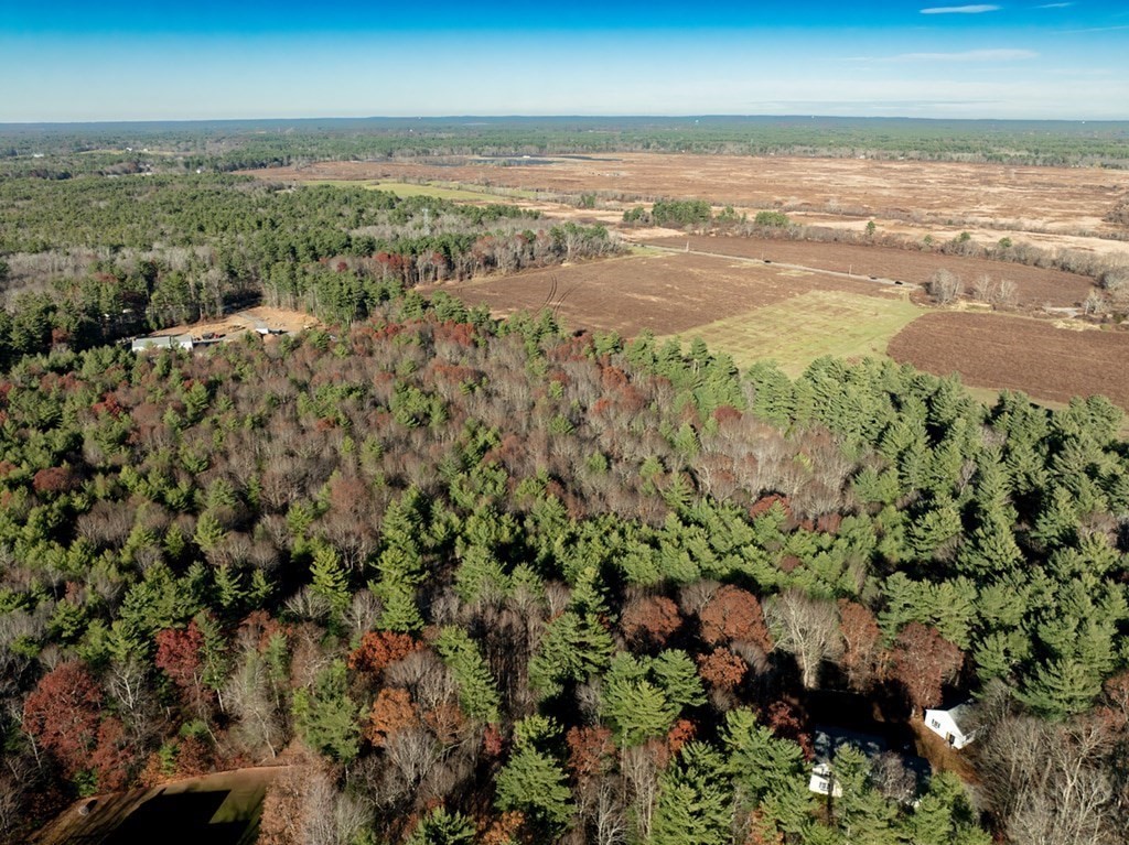 Lot A Thompson