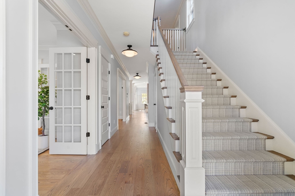 57 Elsinore St