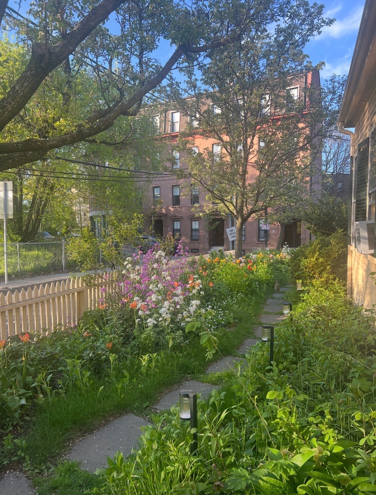 64 Bartlett St #4, Boston, MA Photo #31