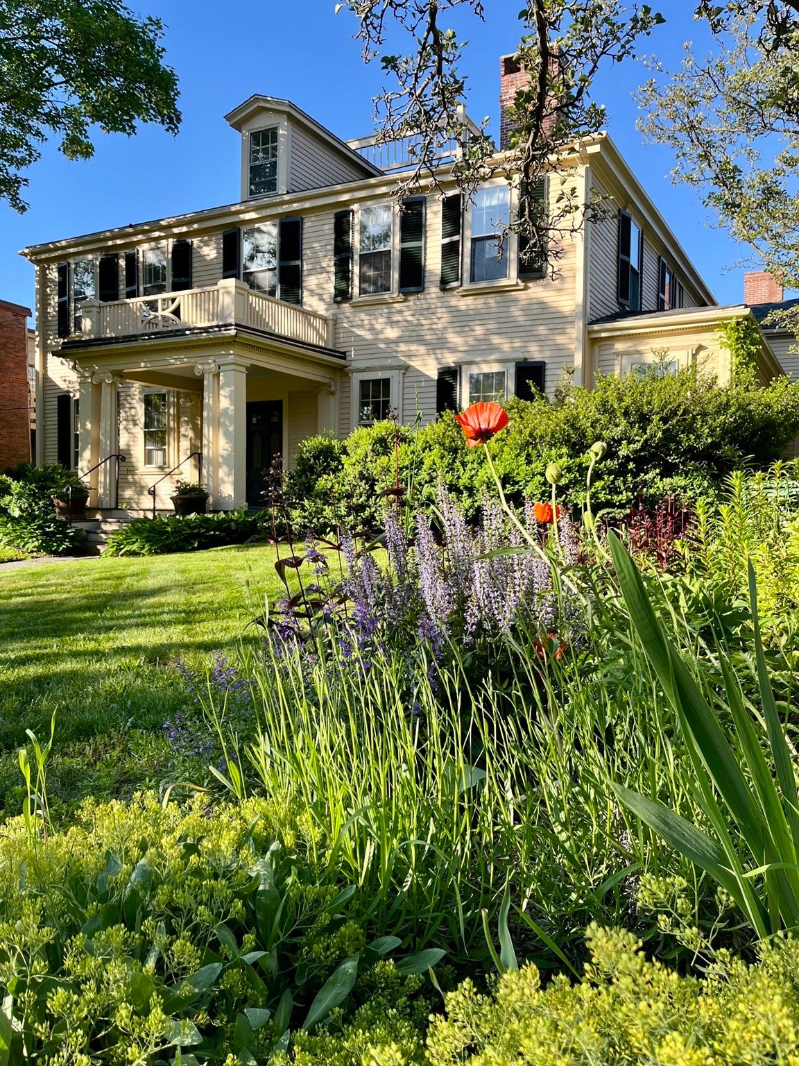 64 Bartlett St #4, Boston, MA Photo #29