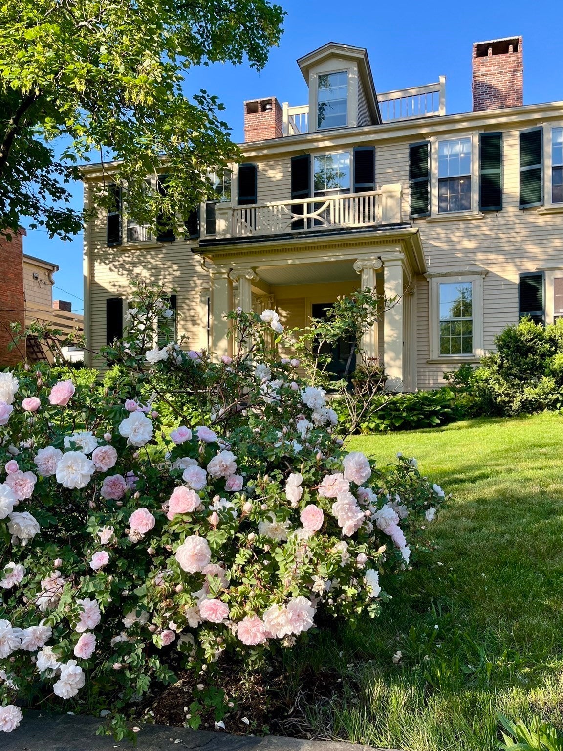 64 Bartlett St #4, Boston, MA Photo #27