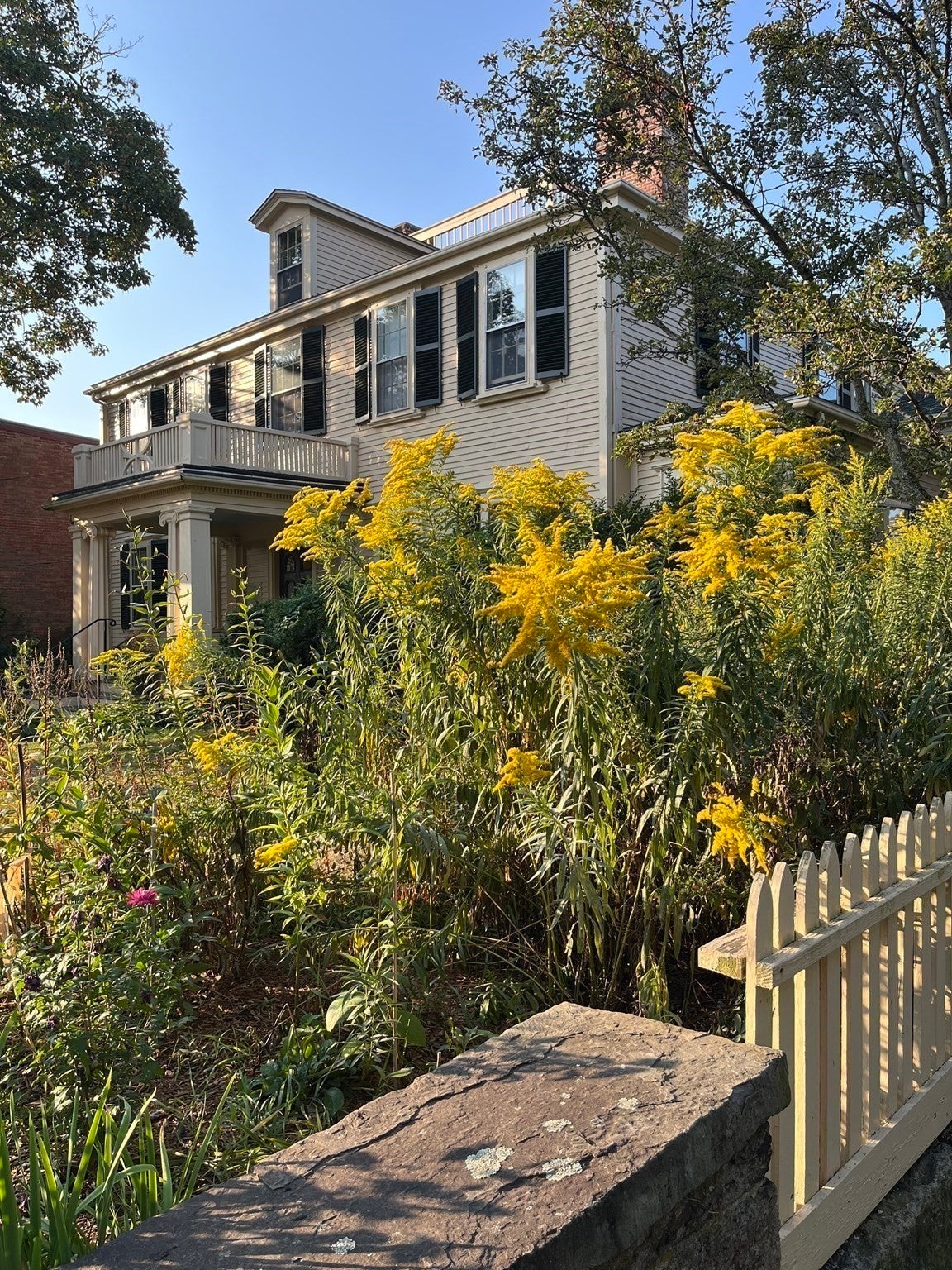 64 Bartlett St #4, Boston, MA Photo #26