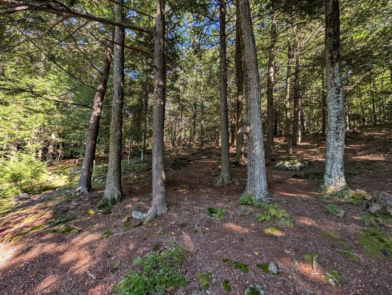 58 Philmart Dr, New Ipswich, NH Photo #41
