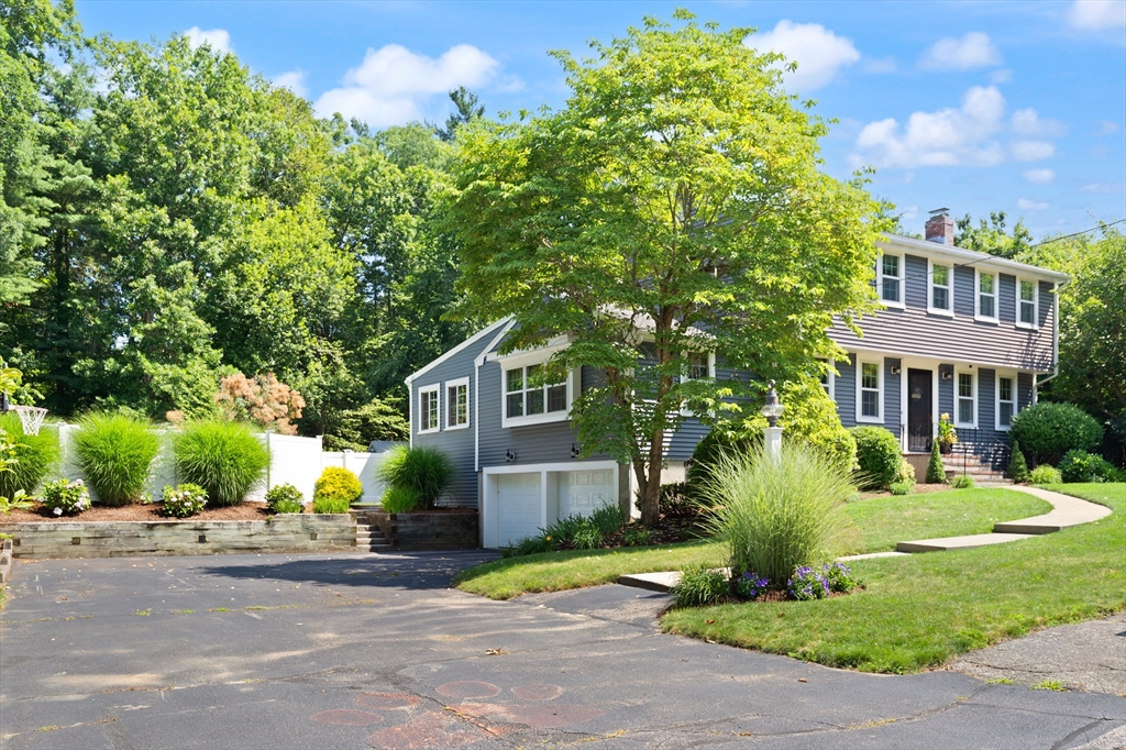 19 Scott Drive