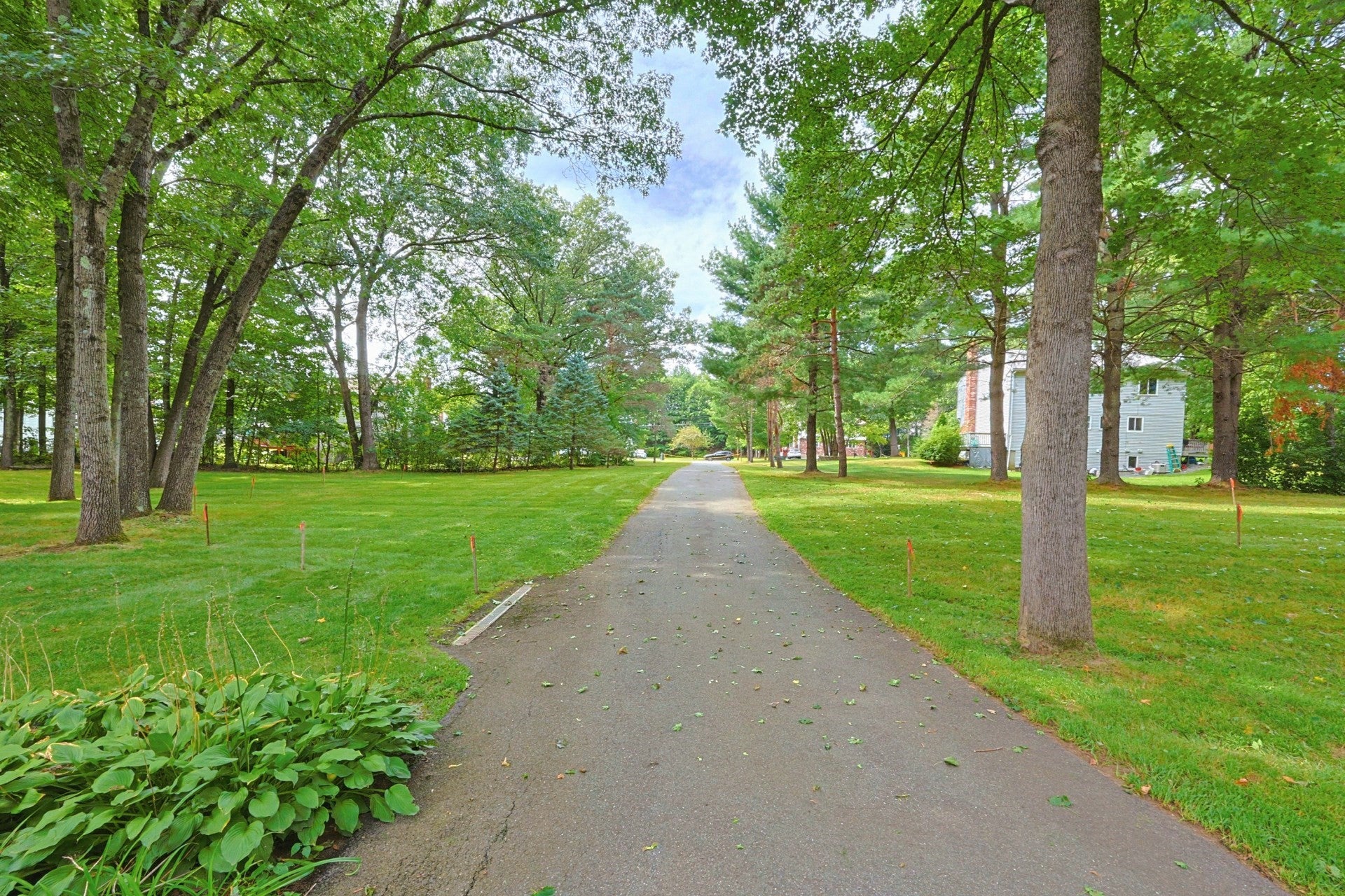 0 Carol Drive