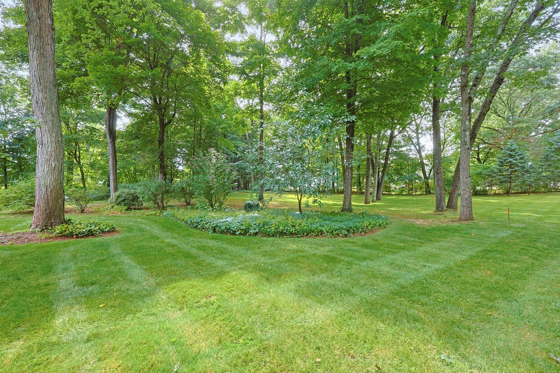 0 Carol Drive