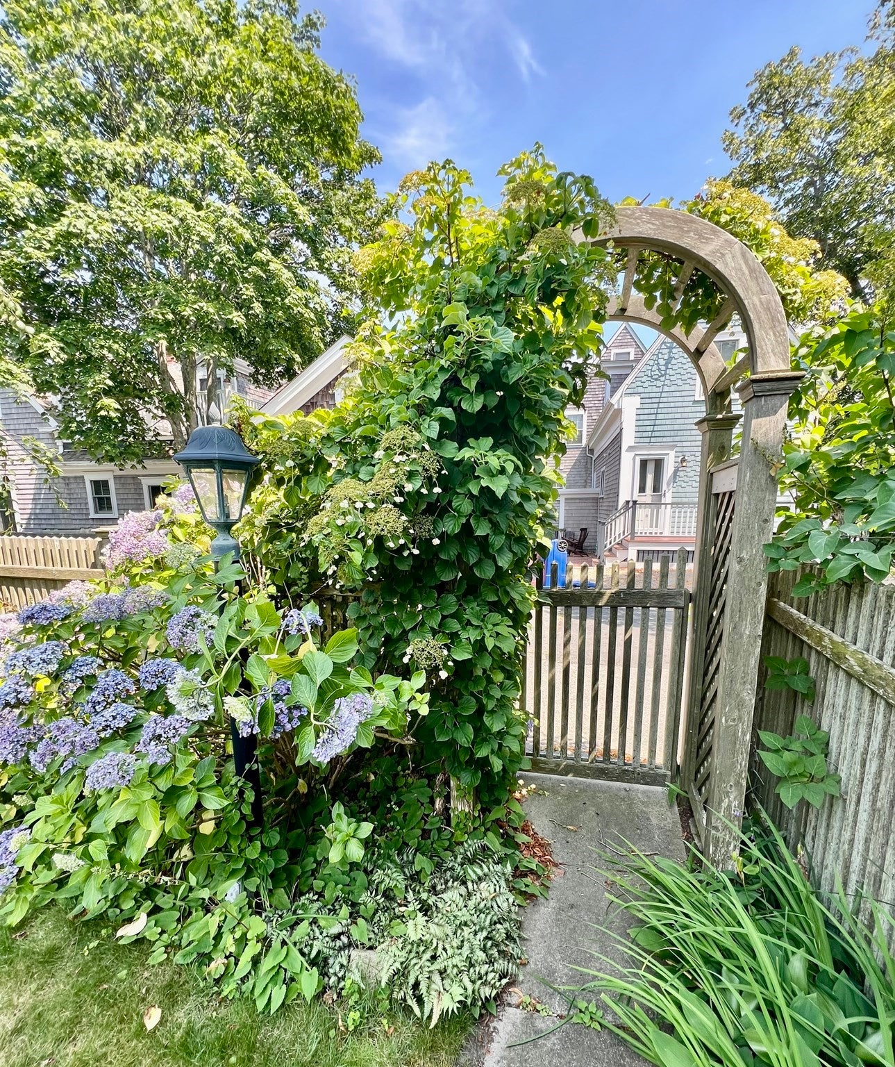 27 Montello St, Provincetown, MA, 27 Montello St, Provincetown, MA Photo #24
