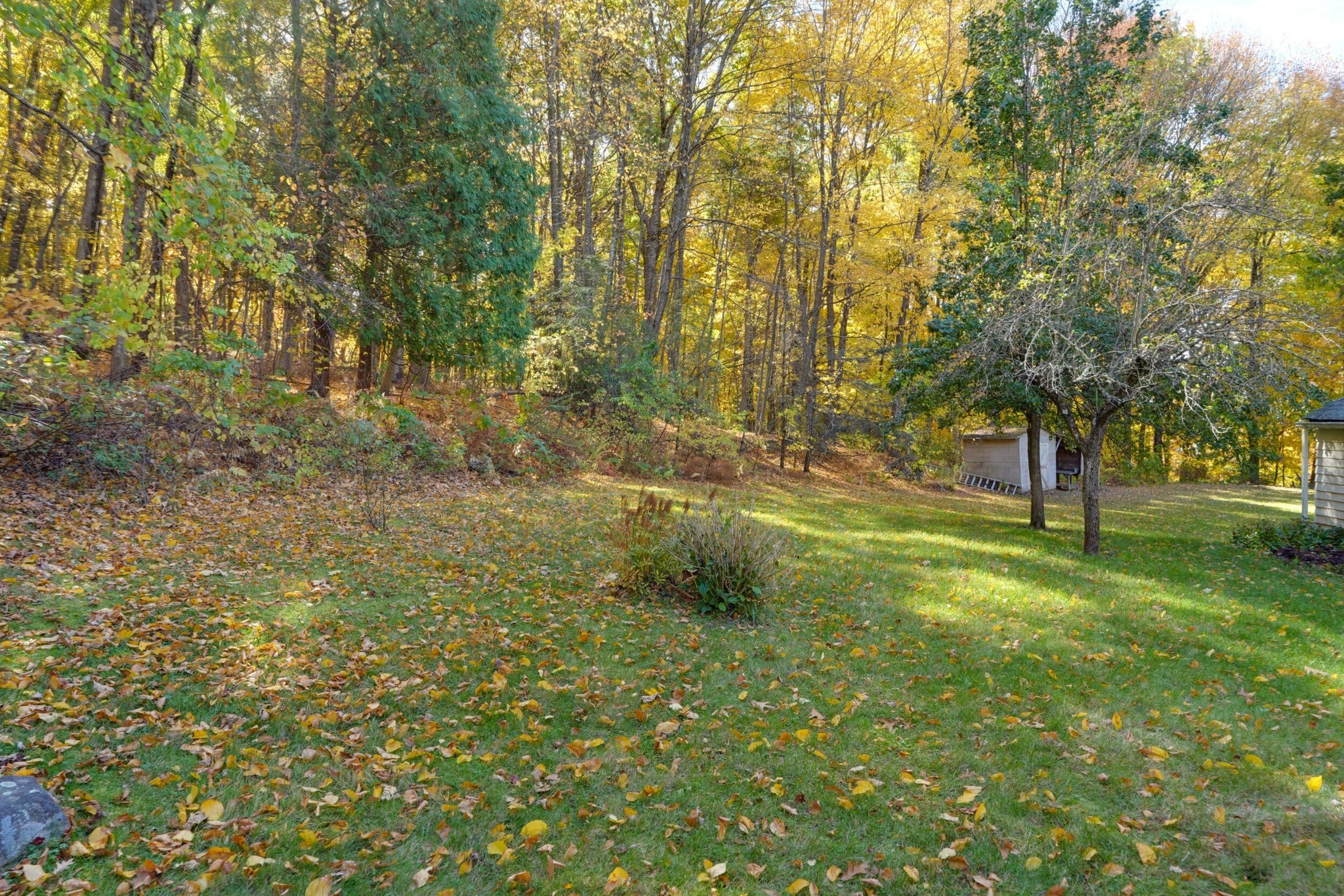 264 Bigelow St, Marlborough, MA, 264 Bigelow St, Marlborough, MA Photo #34