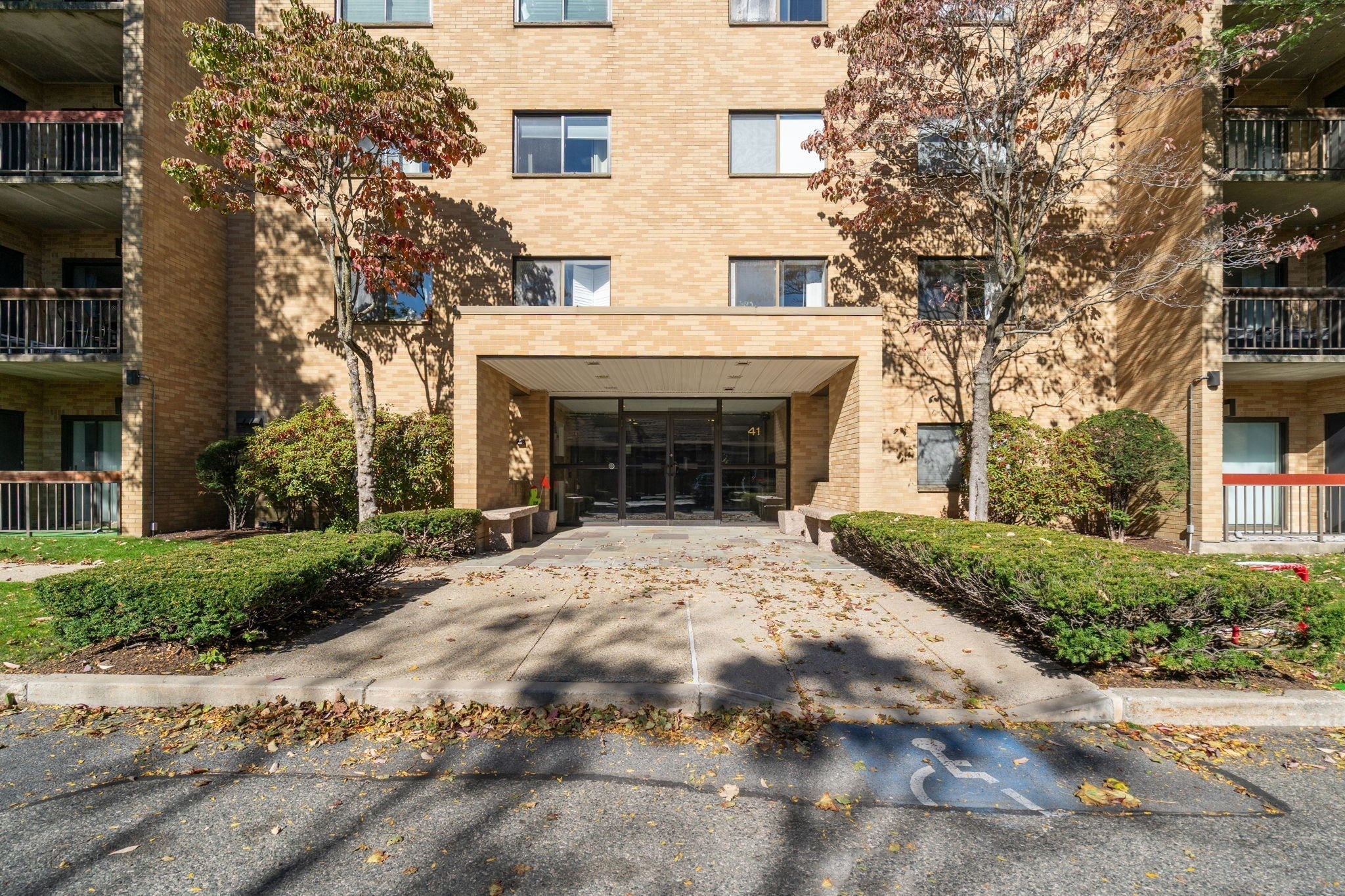 41 Centre St #204, Brookline, MA, 41 Centre St #204, Brookline, MA Photo #13