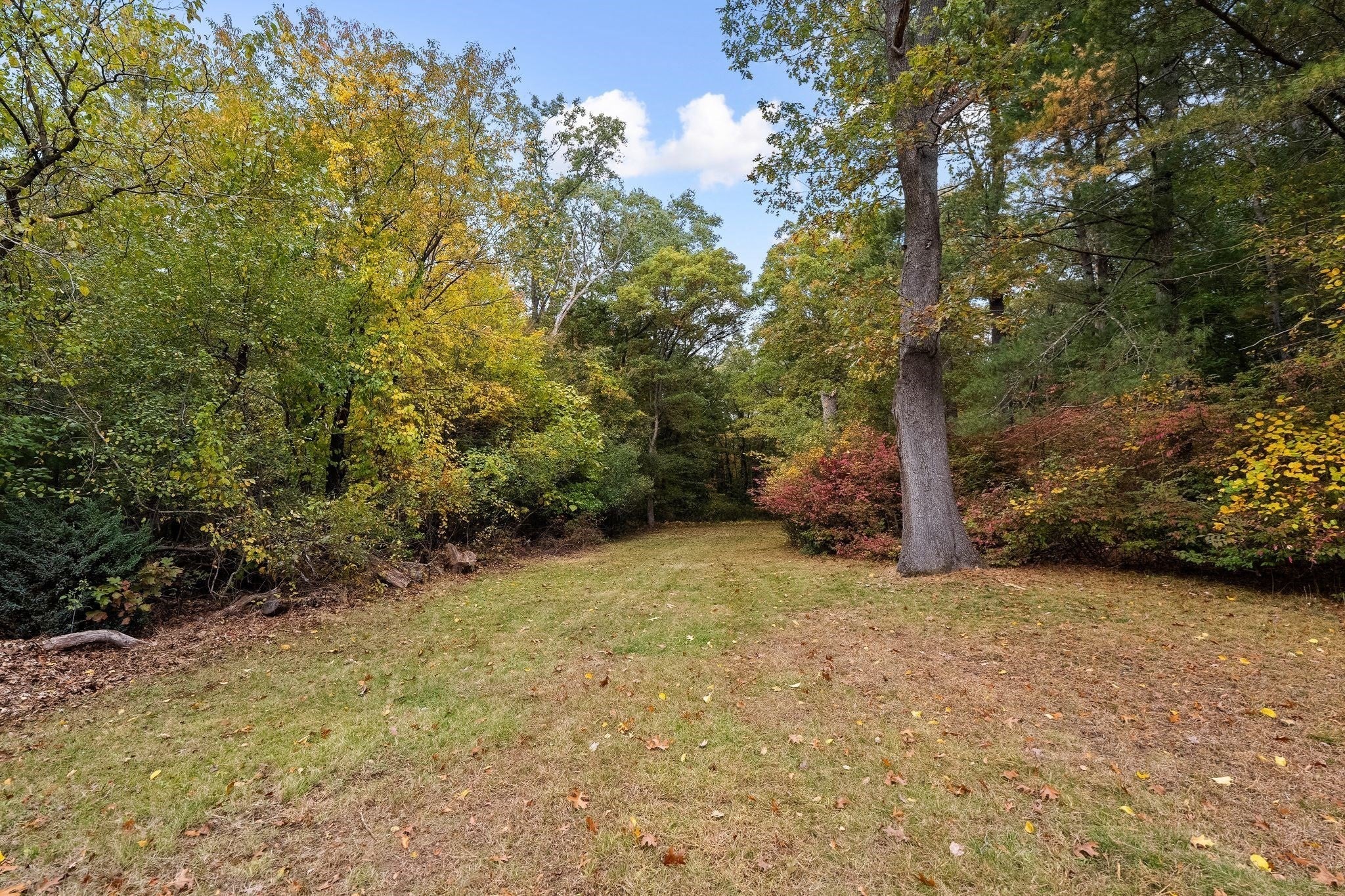 480 Forest St, Rockland, MA, 480 Forest St, Rockland, MA Photo #36