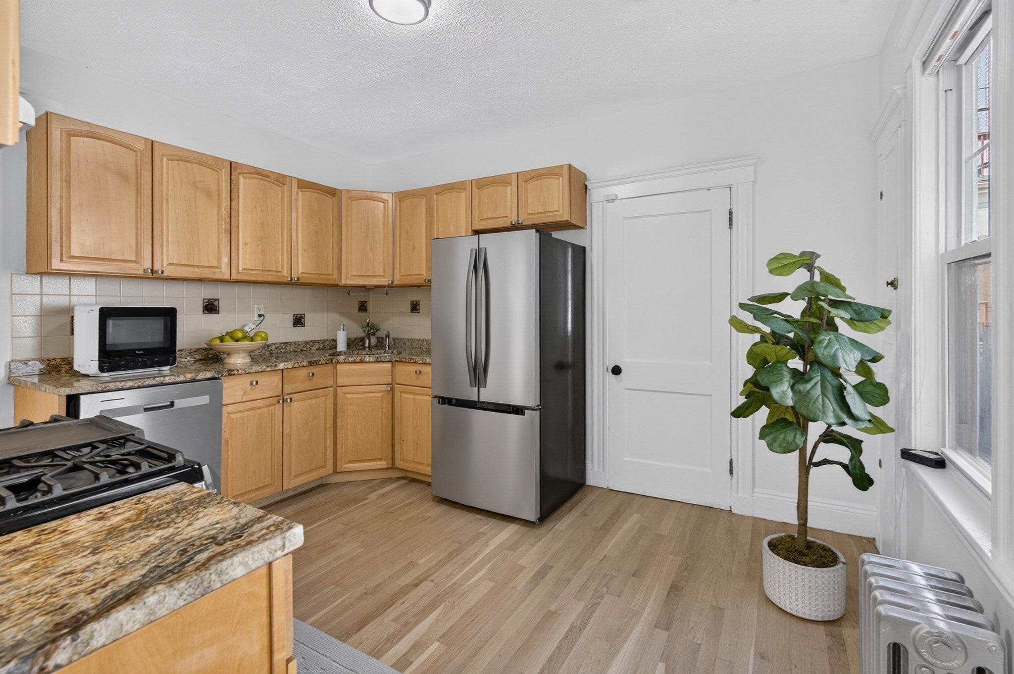 61-63 Philbrick St #1, Boston, MA, 61-63 Philbrick St #1, Boston, MA Photo #38