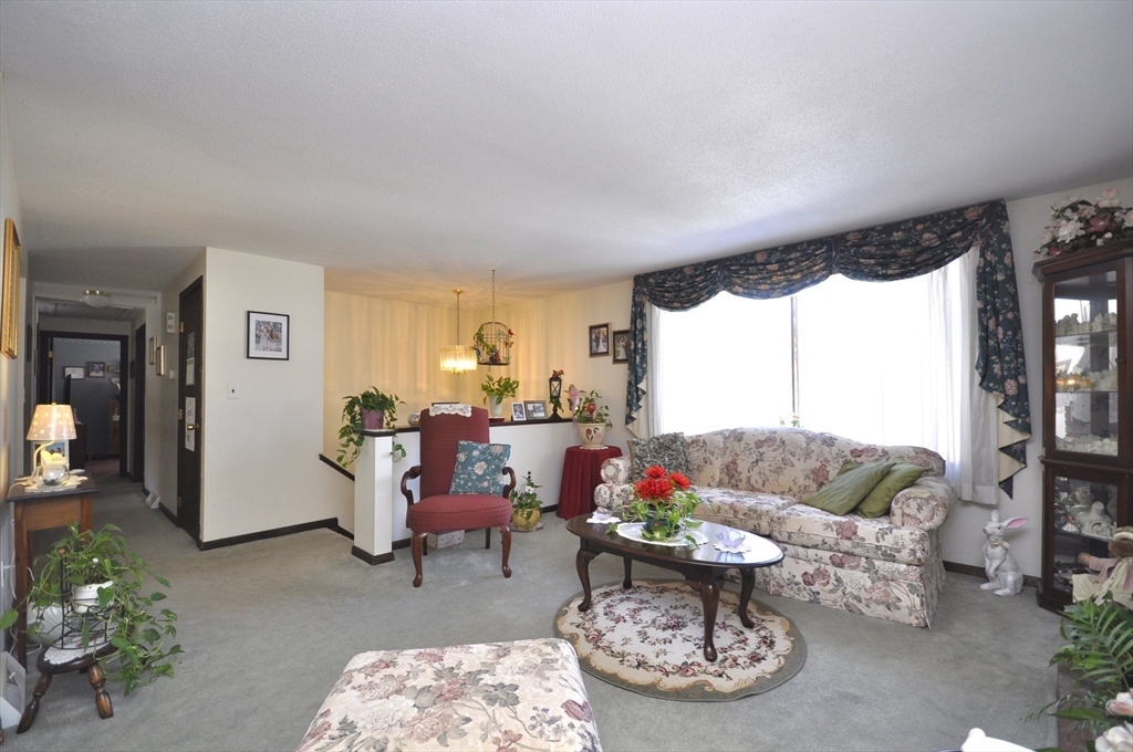 95 Amber Dr