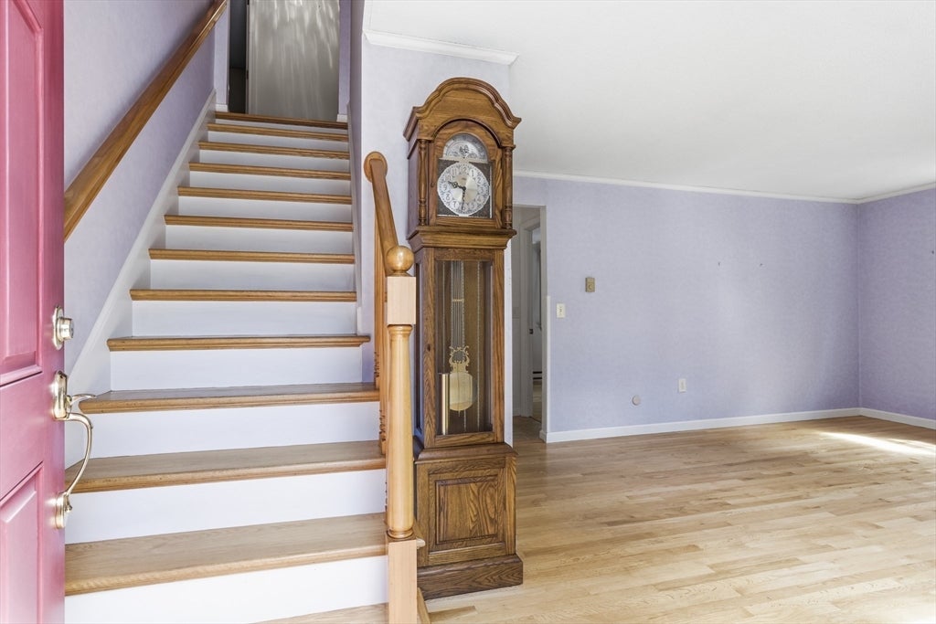 12 Hemlock Road