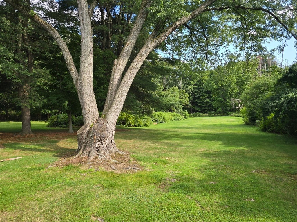 984 Pleasant St, Framingham, MA, 984 Pleasant St, Framingham, MA Photo #3