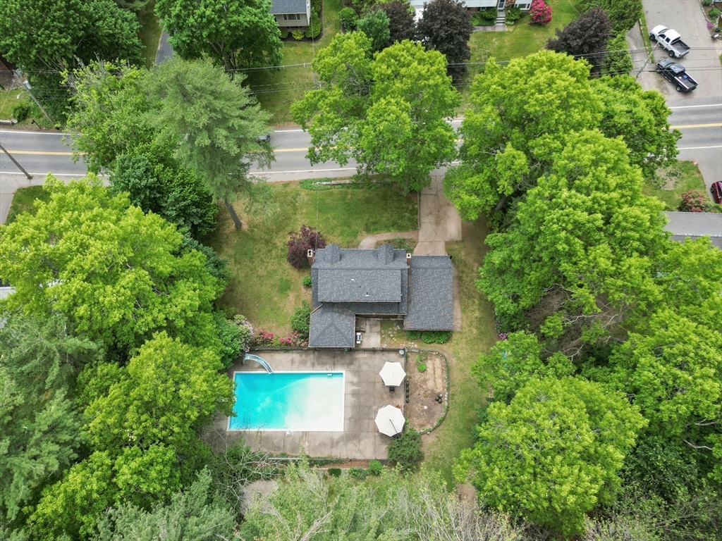71 Forest St.