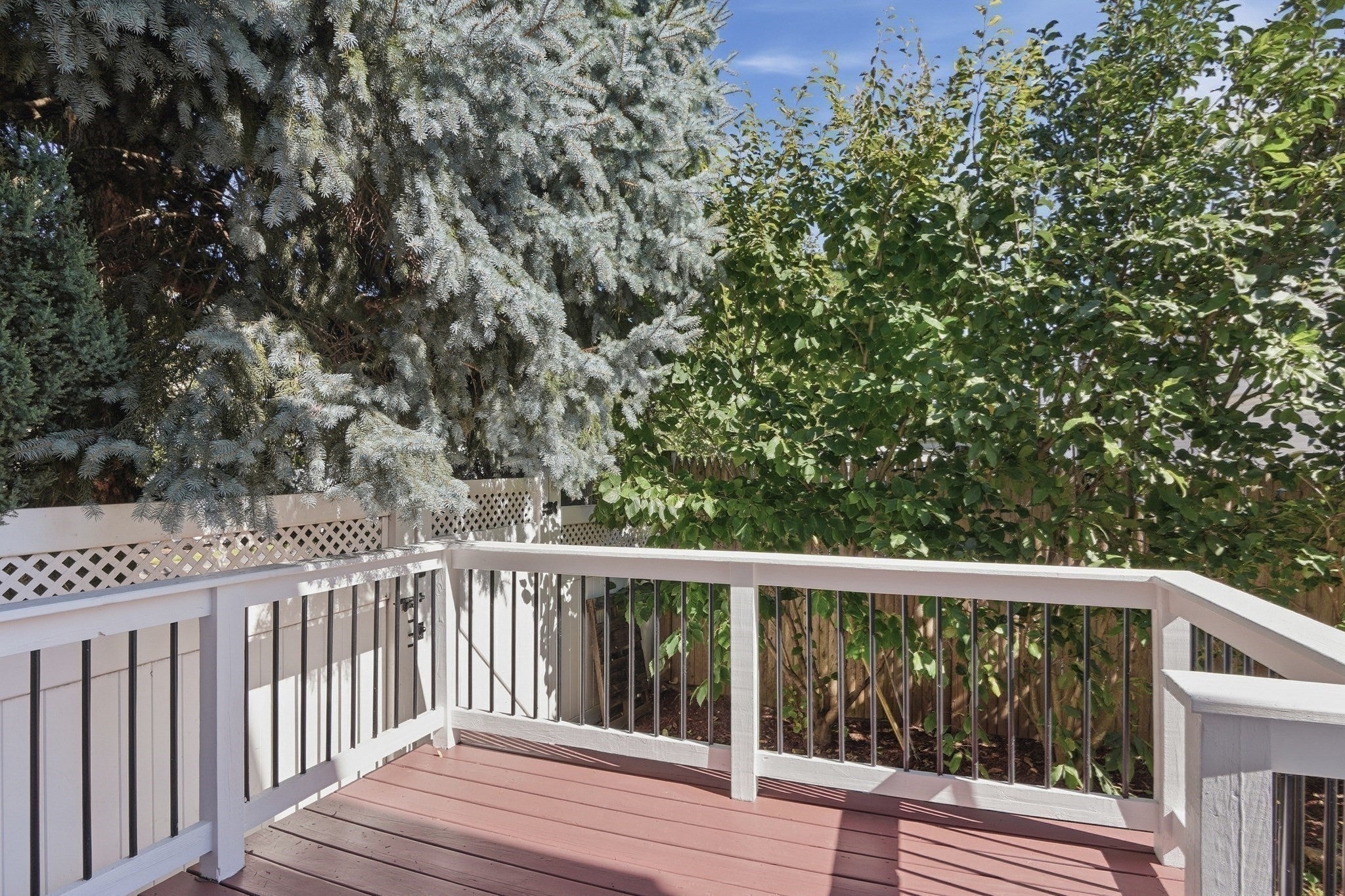 50 Hicks Avenue #16, Medford, MA Photo #39