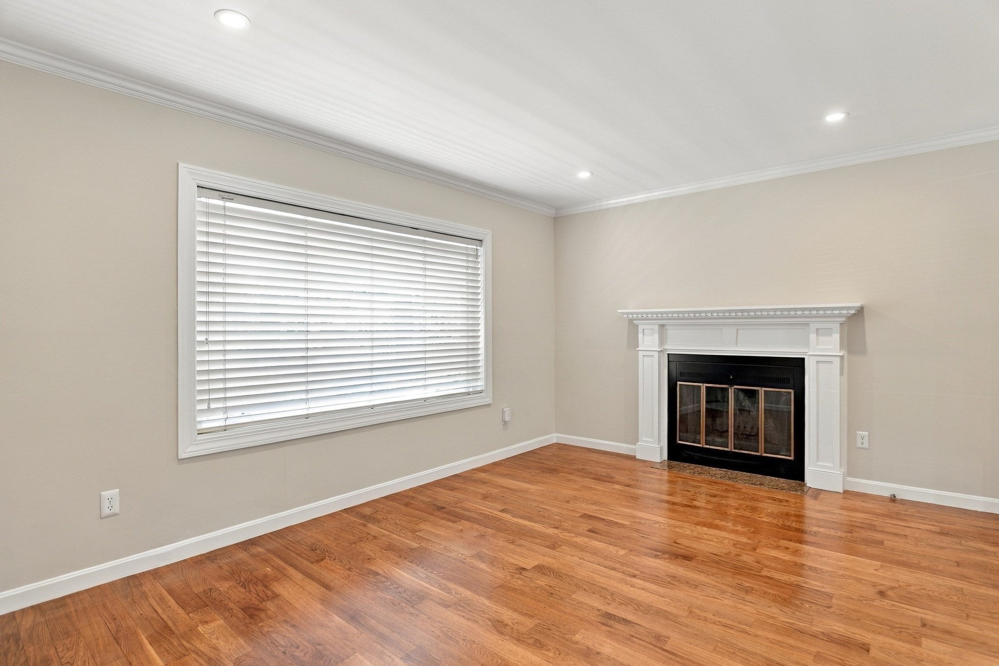 50 Hicks Avenue 16