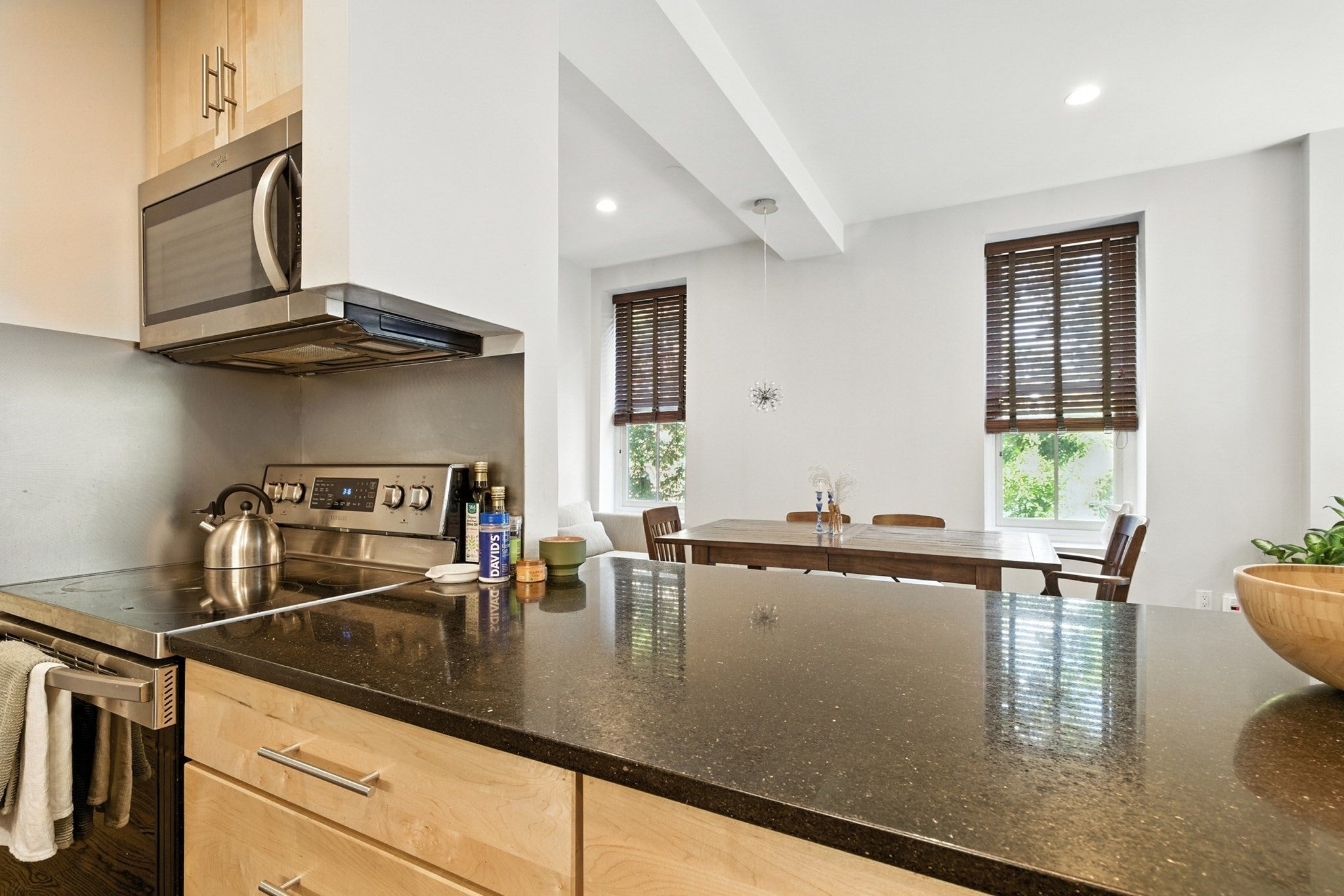 30-34 E Concord St #11, Boston, MA, 30-34 E Concord St #11, Boston, MA Photo #7
