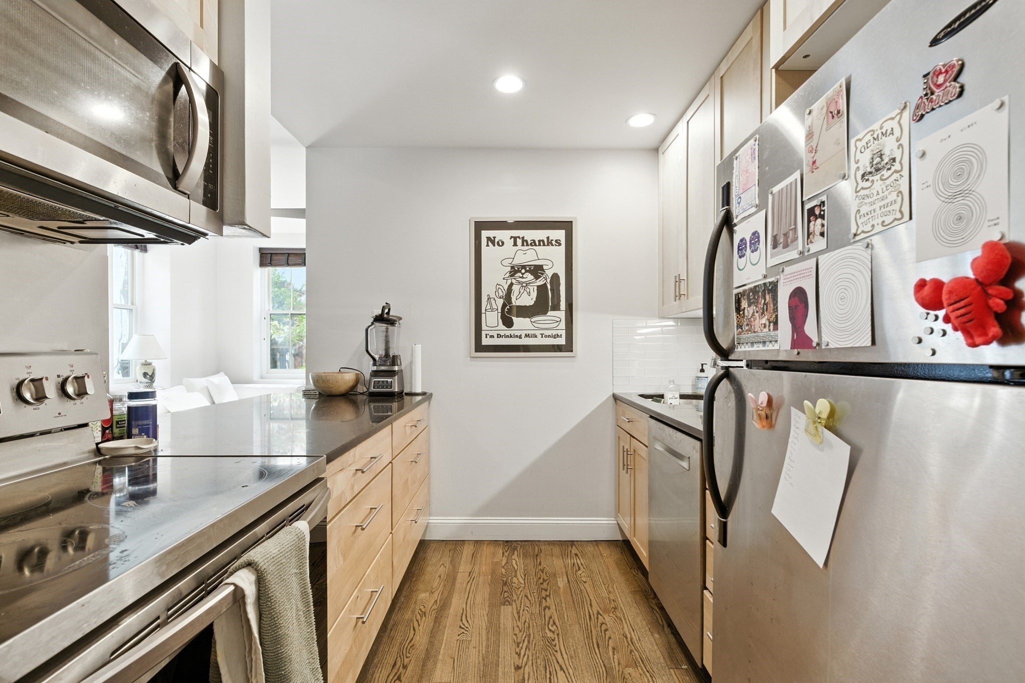 30-34 E Concord St #11, Boston, MA, 30-34 E Concord St #11, Boston, MA Photo #8