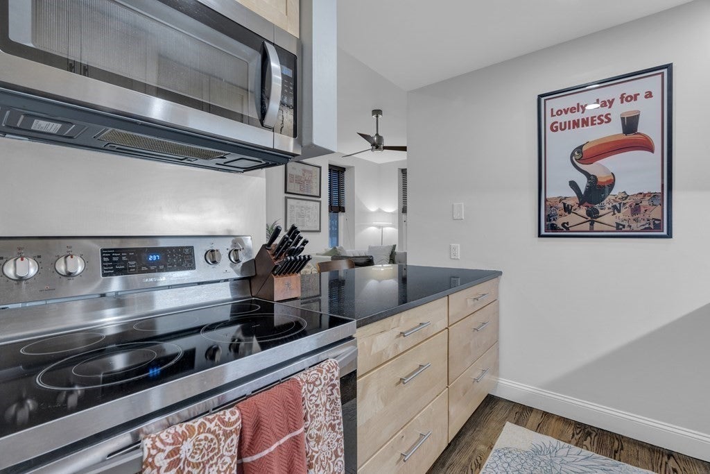 30-34 E Concord St #11, Boston, MA, 30-34 E Concord St #11, Boston, MA Photo #9