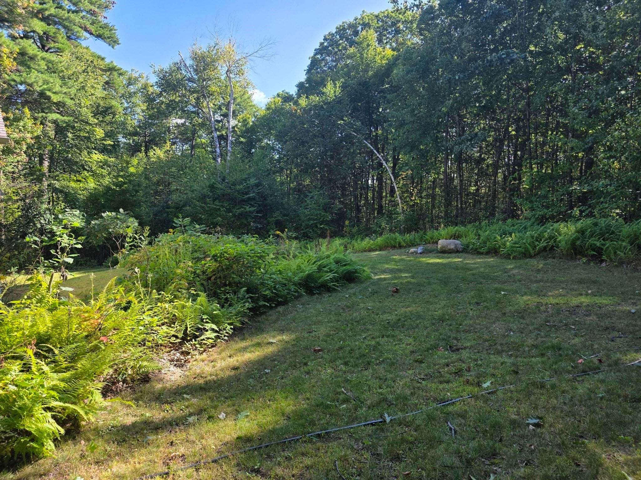 97 Orange Rd, Northfield, MA Photo #8