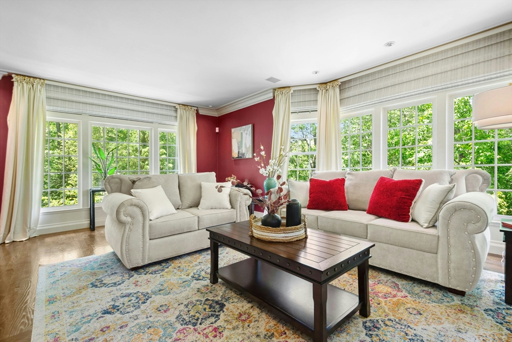 11 Scotch Pine Cir