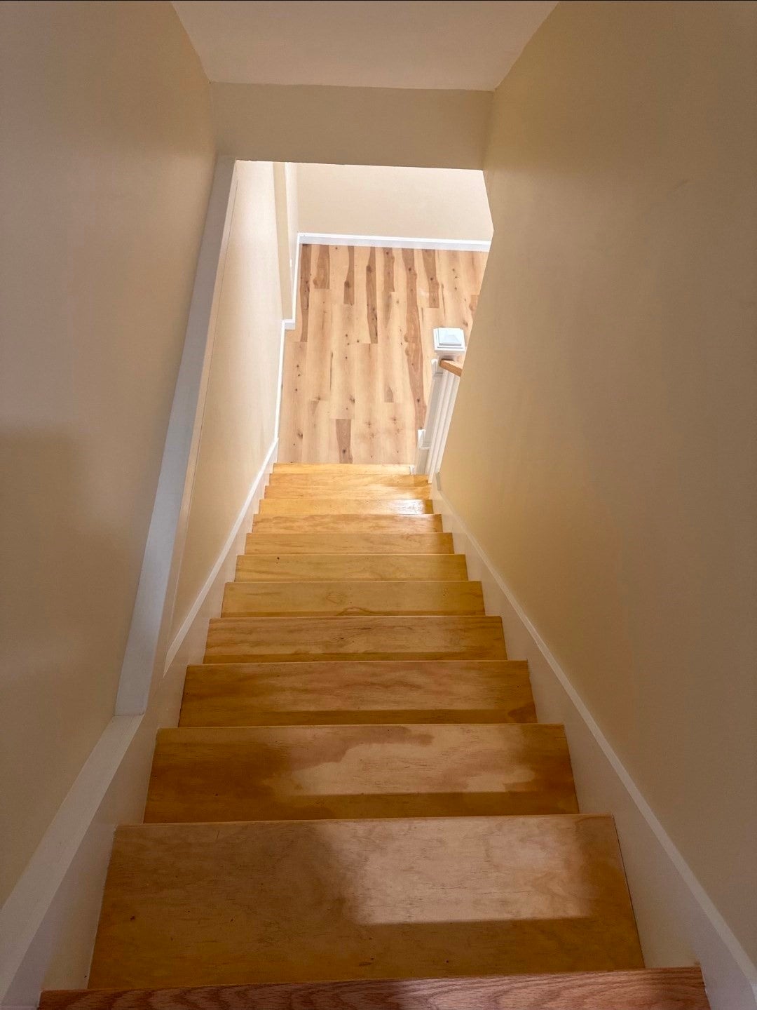 11 Maitland Ave #11, Lowell, MA Photo #9