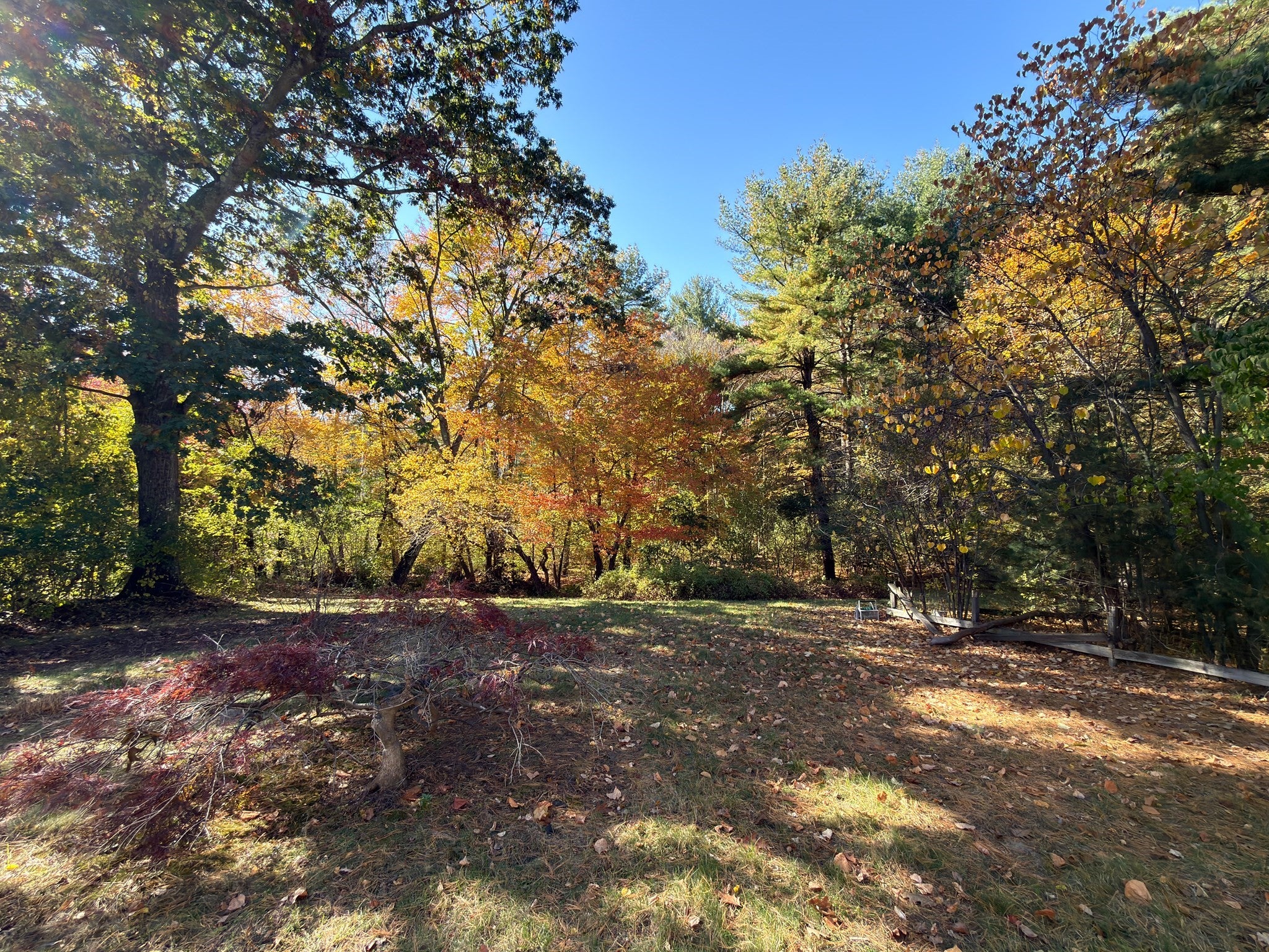 49 Bradford Rd
